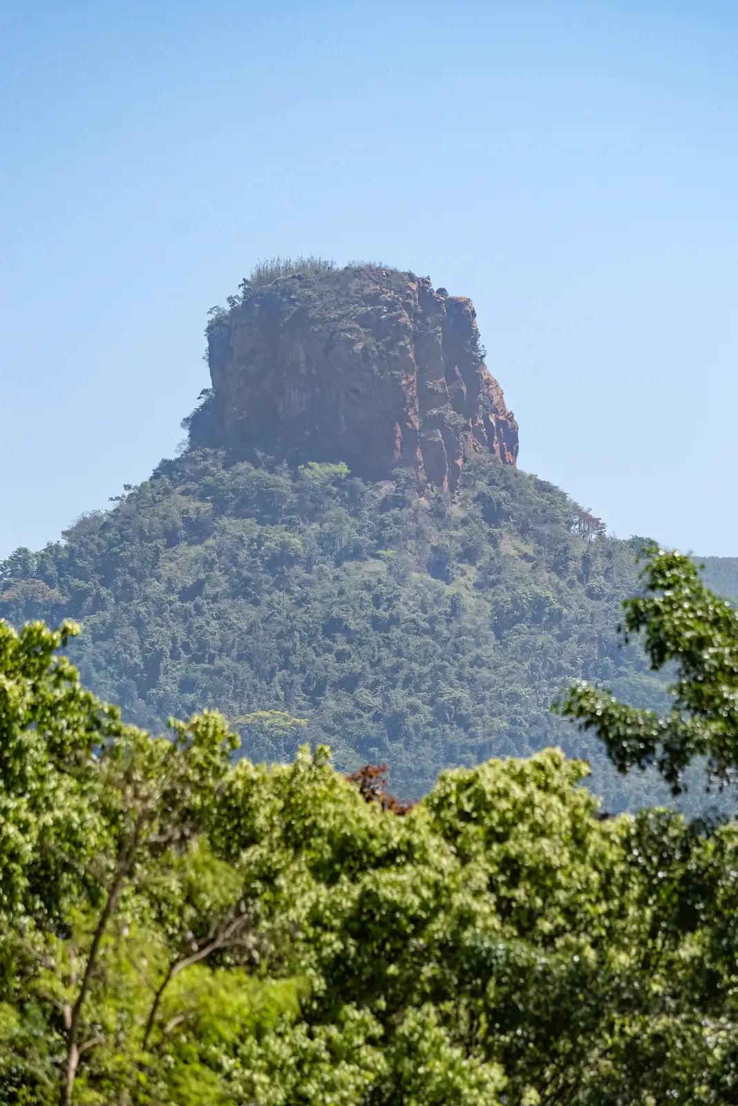 Pedra do Cuscuzeiro acima da mata, cartão-postal de Analândia
