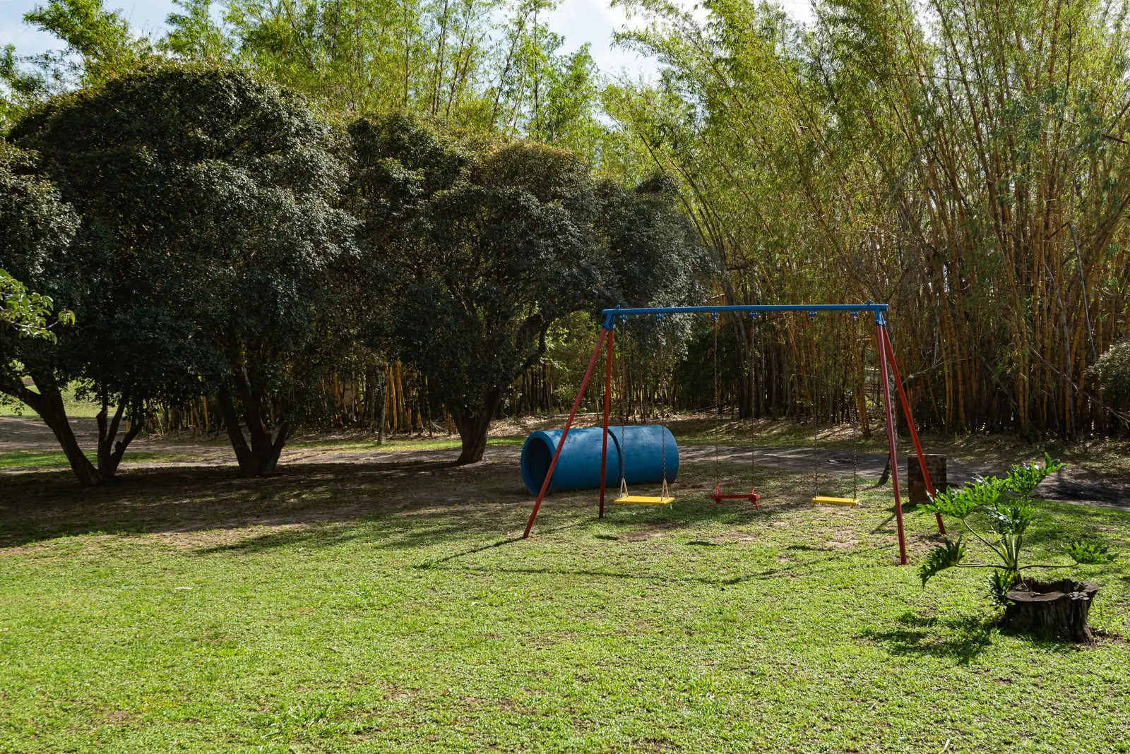 Balanços do playground entre as árvores e o bambuzal
