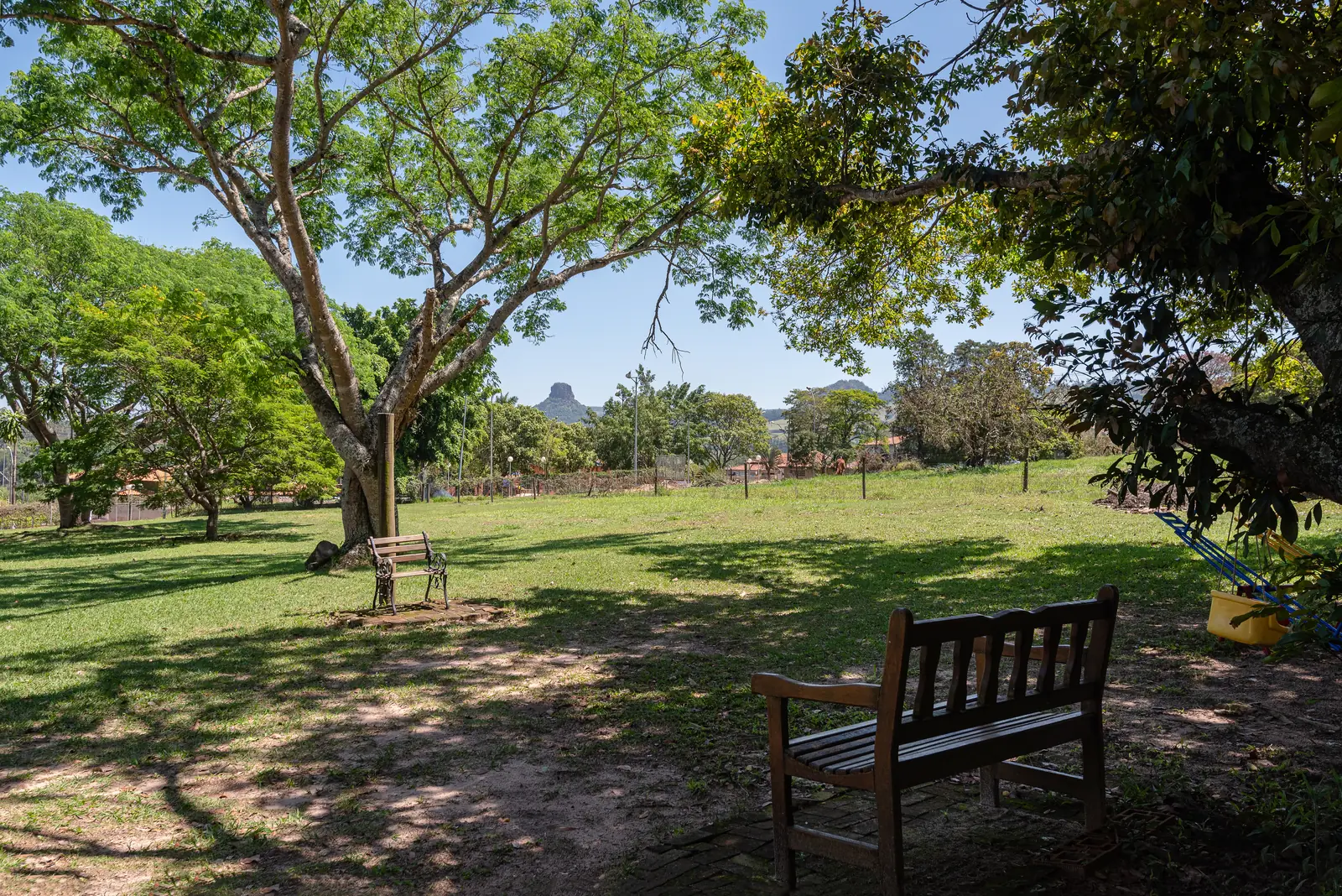 Gramado com bancos à sombra das árvores e o morro ao longe